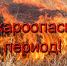 пожары.jpg - За новую жизнь