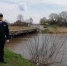 1650787472477.jpg - За новую жизнь