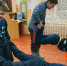 В здоровом теле - здоровый дух! - Город Зарайск
