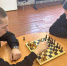Игровые программы, выставки, турниры - Город Зарайск