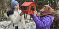 «Синичкин день»: в парке Зарайска расскажут, как помочь птицам зимой - Regions.Ru