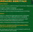 Правила выгула домашних животных - Город Зарайск