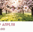 Весны чарующие звуки! - Город Зарайск